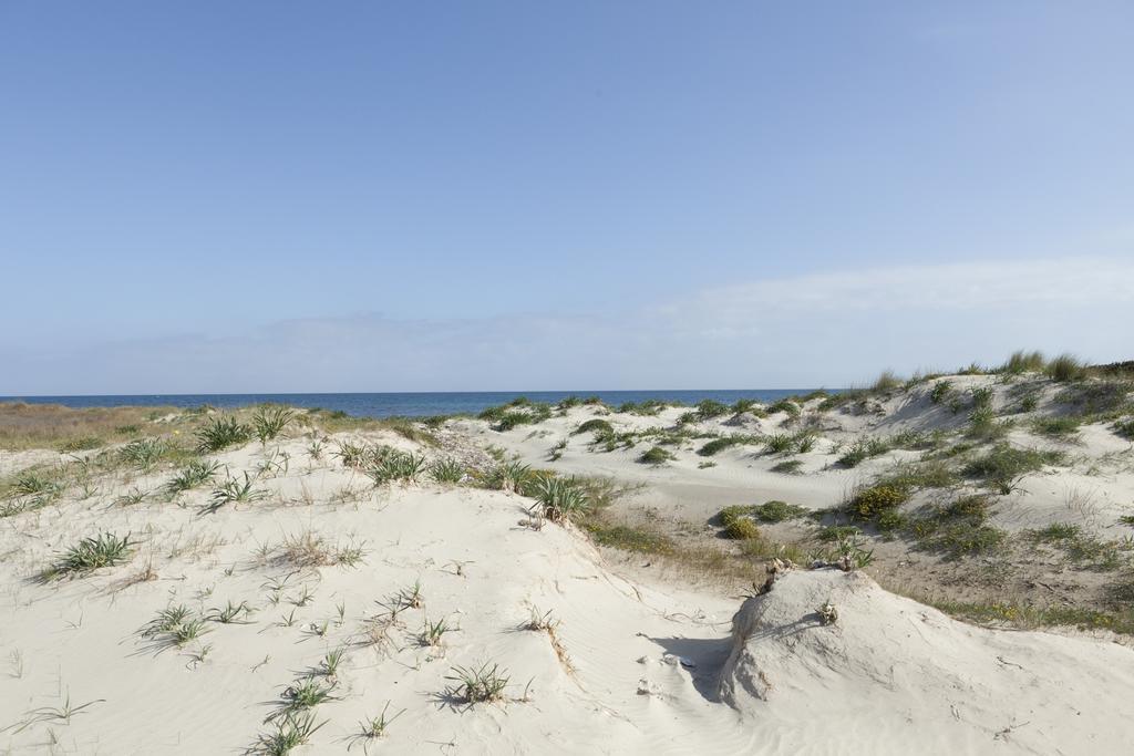 Spiaggiabella Beach Hotel Del Silenzio By Ria Hotels Torre Rinalda Bagian luar foto