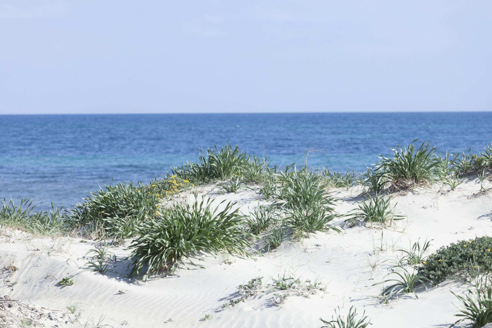 Spiaggiabella Beach Hotel Del Silenzio By Ria Hotels Torre Rinalda Bagian luar foto